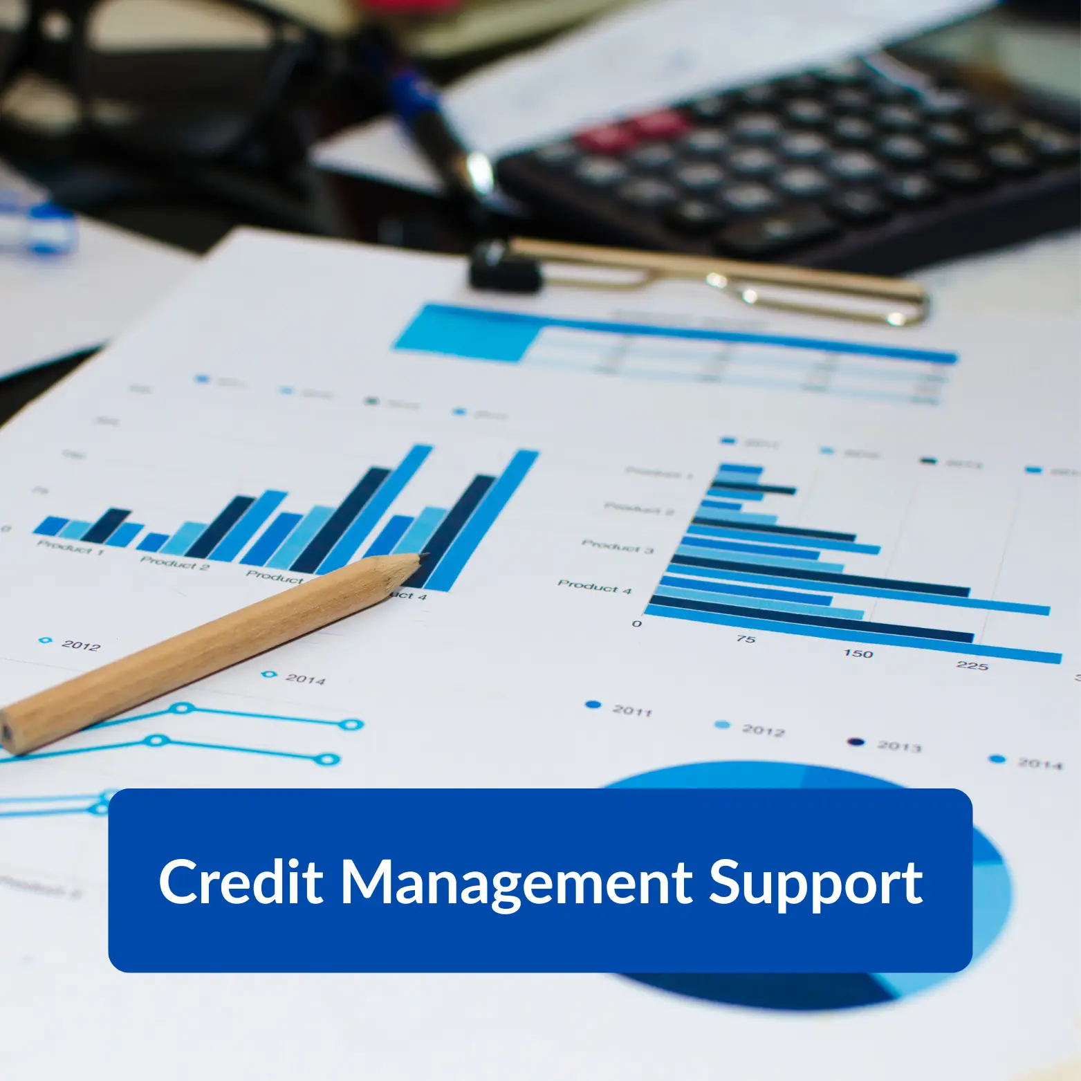 Credit management reports, forecasting and credit control support